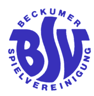 BSV Logo